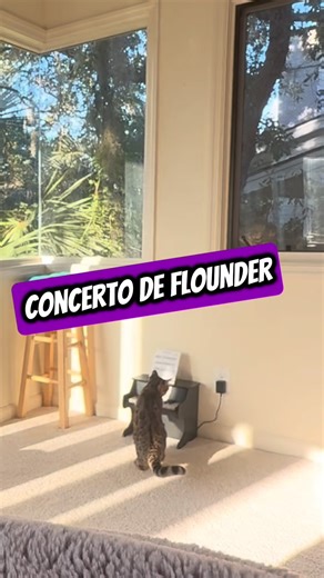 138K views · 3.8K reactions | Flounder occasionally feels the...