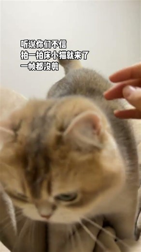 Unfiltered Authentic Footage - Every Moment Captured