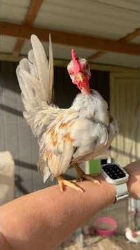 Missed my little Roo the 5 days I was traveling!🥹✨