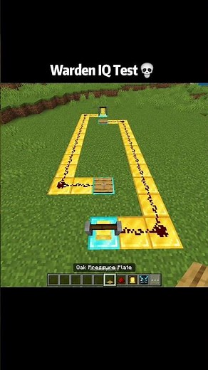 Minecraft warden moments