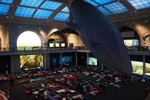 Pace University Students Learn 1st Lesson: New York is Our Campus