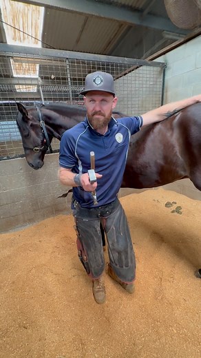 1.3K views · 328 reactions | Correct trimming is paramount. The shoe...