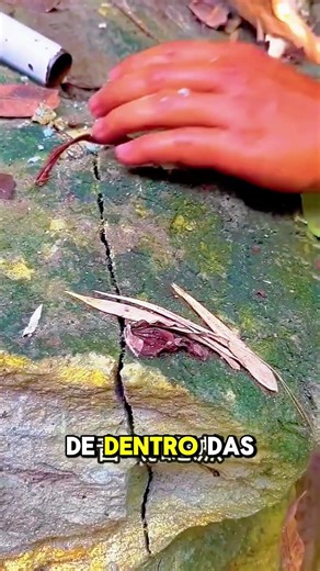 Esse homem descobriu um grande tesouro #curiosidades #shorts