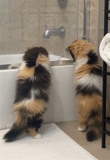 Budgeting for Weekly Grocery Shopping Made Easy