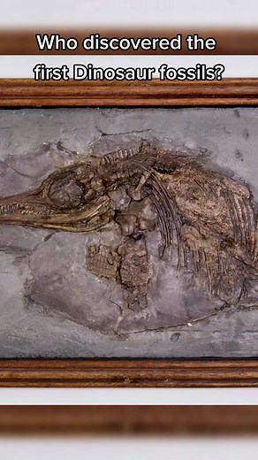 Mary Anning: The First Dinosaur Fossil Discovery | History Facts