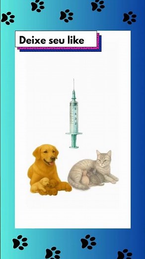 💉 Injeção Anti Cio em Pets: O Perigo Que Ninguém Te Conta #shortvideo
