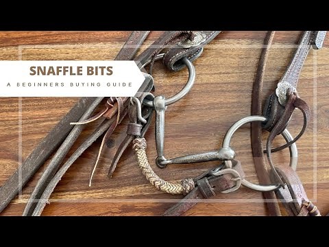 Snaffle Bits: the Beginners Buying Guide
