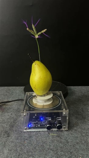 Tesla coil testing #experiment #teslacoil #shorts