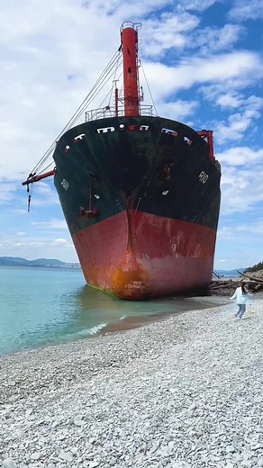 Casual Beach Adventure Featuring Unique Scenes