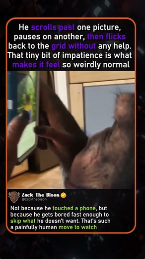 HE KNOWS THE APP
