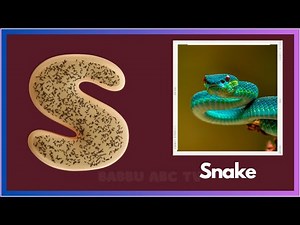 ABC Animals For Children | Learn Animals Alphabet | ABC Animals Flashcards | Alphabet Letters | ABCD