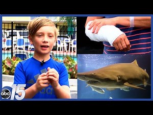 Shark attack in Myrtle Beach; Karren Sites survives shark attack;