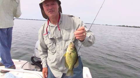 Crappie, panfish and largemouth bass using stingeye spinners