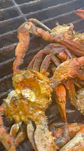 59 reactions · 4 comments | This will make you eat the shell and all‼️呂‼️ #Thegeecheeway #foryoupageシ #bbq #foodie | CmajOr Hopkins | Facebook