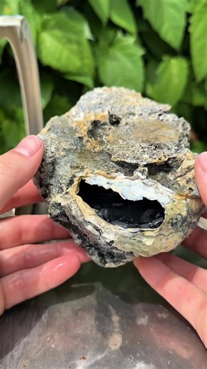 322K views · 8.2K reactions | What’s inside this massive ancient coral? 視 #crystals #rocks #minerals #agate #geode #fossils #geology #coral | CoralGeodes | Facebook