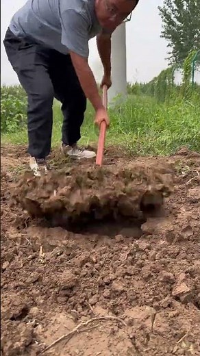 "Hand Tool for Farming Soil Preparation Made Easy #agriculture