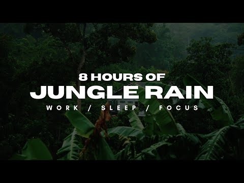 8 Hours of Jungle Rain | Deep Sleep, Relaxation & Flow State Ambience
