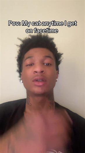 My Cat's Hilarious FaceTime Reactions