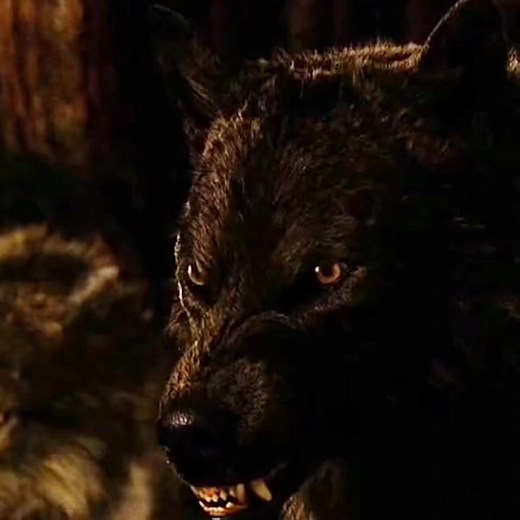 Sam Uley Twilight Wolf Edit