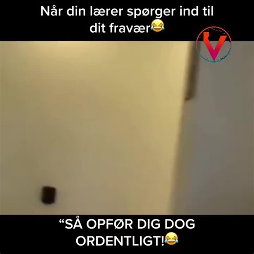 Hilarious Danish Memes That Will Make You Laugh