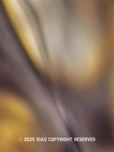 Exploring Sassanid Culture and Iranian Fashion Trends