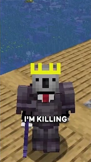 The Dog Mace Problem...