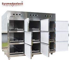 [Hot Item] Nine Bodies Mortuary Freezer Corpse Cold Storage for 9 Bodies Refrigerator