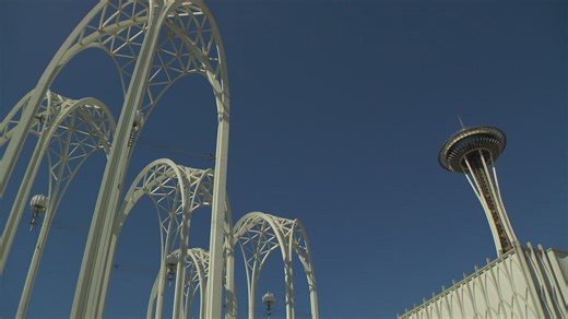 The Pacific Science Center's iconic dinosaurs have gone extinct. The museum is now reopened after a five week renovation replaced the dinos with a spider exhibit. | KING 5