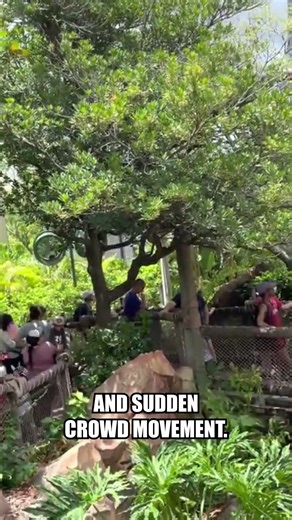 The Universal Ride Queue That Was Redesigned After Guest Injuries