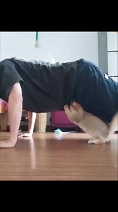 Workout time🤣, Subscribe and join our family don’t miss a single post❤️ Link in bio. | Meow Cats