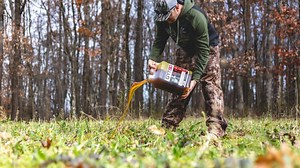 What Do Deer Eat in Fall And Early Winter? | GYT90