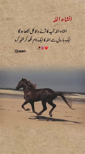 Queen of Dubai: A Celebration of UAE Culture