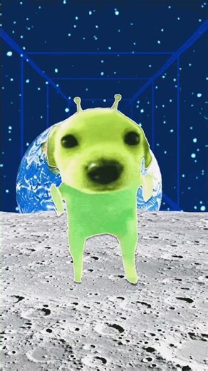 La danse des chiens alien 👽 🤣🤣🤣
