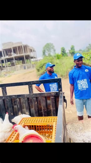Great day at Otto’s Farms! 🐔🥚 The selling went very well today. Our eggs and broiler chickens were in high demand, and we’re grateful for all the support. Thank you to everyone who came out!