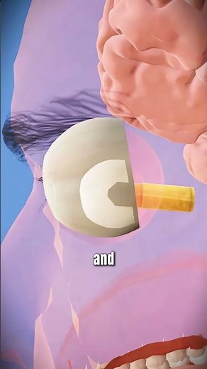 How One Shot Changed History Forever!