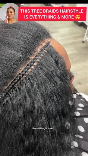 Tree Braids Hairstyle Made Easy - Beginner Friendly Fish Bone Braidstyle