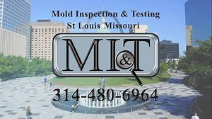 Mold Inspection & Testing Belleville Illinois