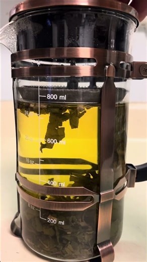 Herb of The Day - Cordoncillo Negró #youtubeshorts