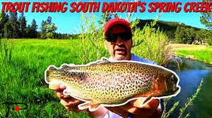 Only a few minutes from Rapid City, South Dakota's Spring Creek offers anglers a scenic stream loaded with public access and stocked trout. In this episode of Pautzke Outdoors we take you to the Black Hills to show you how to catch trout here now. | Pautzke Bait Company