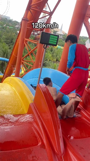 Exploring the Reasons Behind Color Change