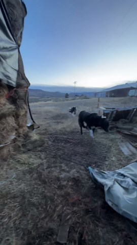 Hurricane force winds cause power outages, school closure, fires across Wyoming