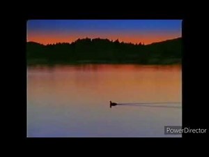 sesame street season 32 2001 toodle loo lyrick studios distributed by