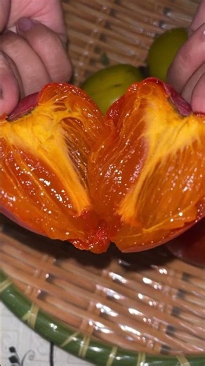 감은 맛있는 맛을 가진 과일이며 비타민 A와 비타민 C, 풍부한 섬유질 함량 덕분에 “신들의 과일”에 비유됩니다.#viralshorts #xuhuongyoutube #vfspk