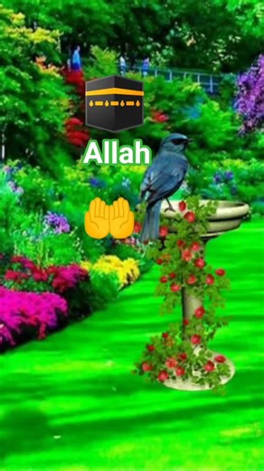 Allah pak🕋🕋🕋🤲🤲🤲
