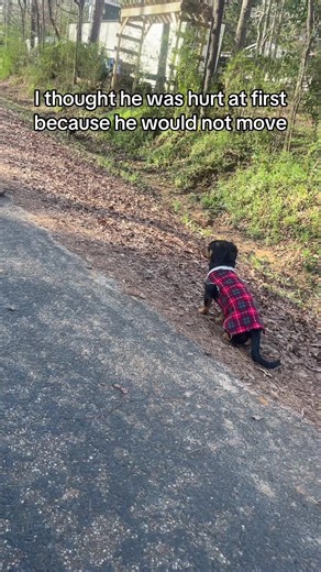 Itzz.tyonna (@itzz_tyonna)’s videos with original sound - Itzz.tyonna