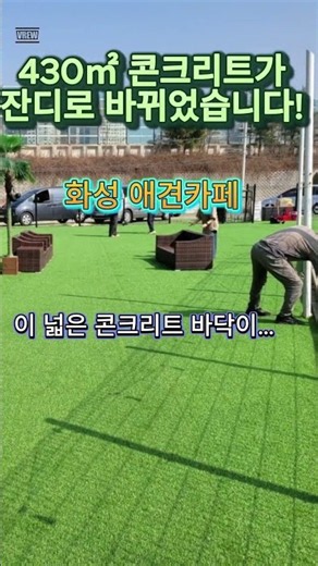 인조잔디 430㎡ 시공 현장｜화성 하이애니멀 애견카페 #대원카페트 #인조잔디