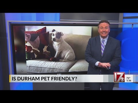 Durham ranks low for pet friendliness—we disagree