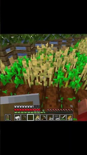 Minecraft Survival #10