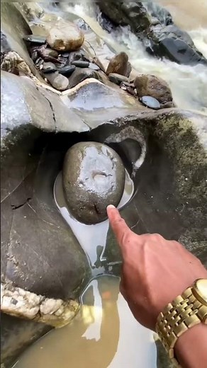 Beautiful Wild Animal Growth Transformation!
