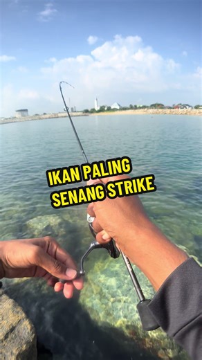 Ikan Paling Senang Strike Menggunakan Rod Pancing